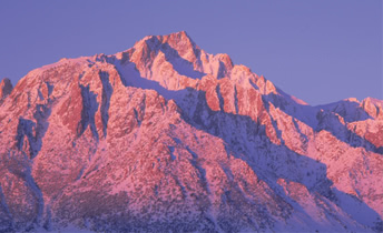 Corel Draw X6 Keygen Torrent